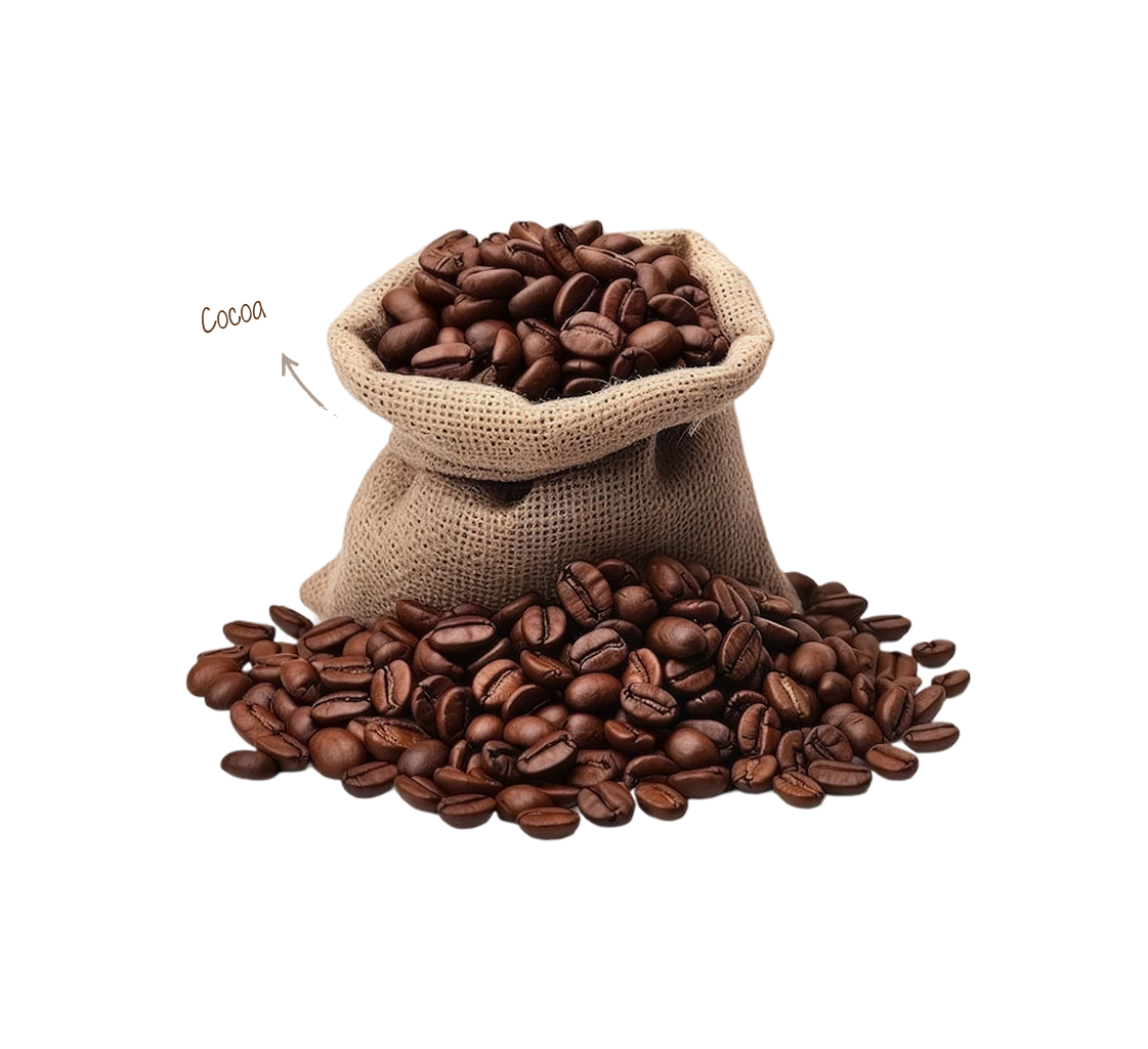 Raw cocoa beans in a burlap sack on a pile of cocoa beans